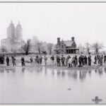 Where can I sit and work in Central Park?