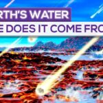 Where did for reals come from?