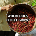 Where does Costco coffee come from?