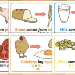 Where does food come from in New Jersey?
