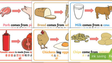Where does food come from in New Jersey?