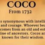 Where does the name Vela come from?