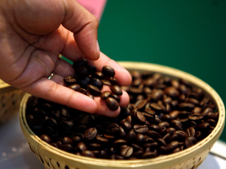 Where is the best coffee beans in the world?