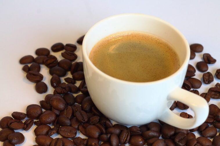 Where is the best coffee in the world found?