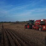 Where is the surname Siew from?