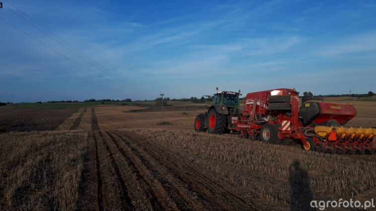 Where is the surname Siew from?