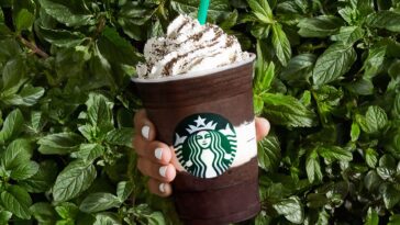 Which Starbucks Frappuccino has the most sugar?