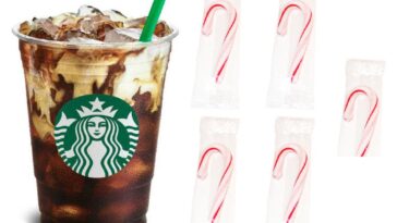 Which Starbucks holiday drink has the least amount of sugar?