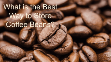 Which coffee bean is the best?