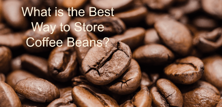 Which coffee bean is the best?