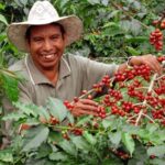 Which country is famous for its coffee?