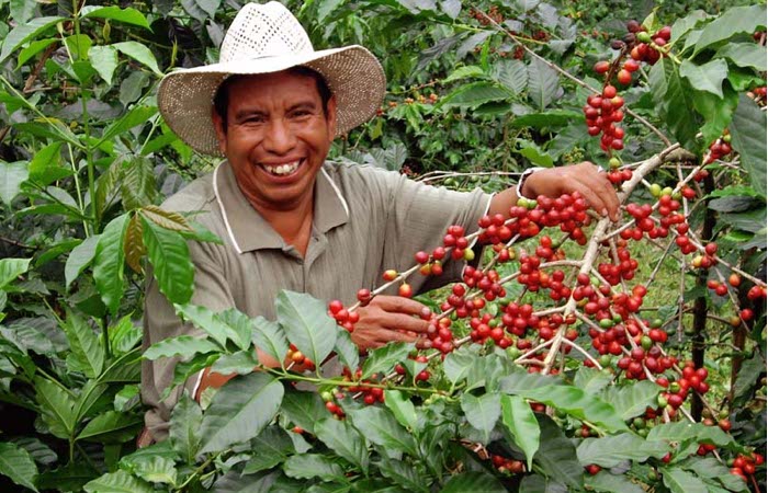 Which country is famous for its coffee?