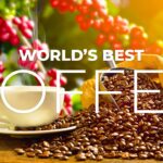 Which country makes the best coffee in the world?