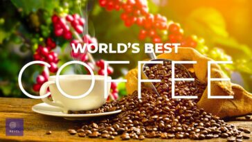 Which country makes the best coffee in the world?