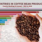 Which country produces the best coffee in the world?