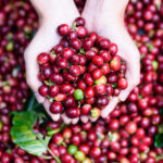 Which fruit is best with coffee?