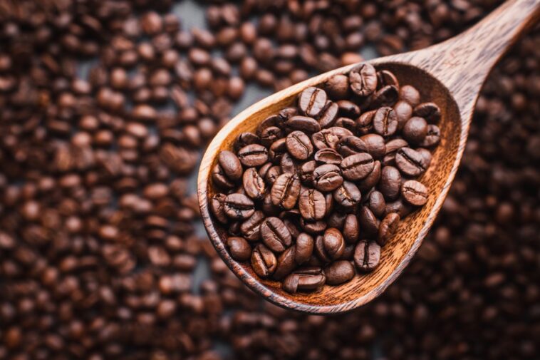 Which is best Arabica or Robusta?