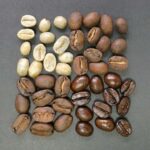 Which is better Arabica or Robusta?