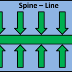 Which is cheaper Lime or spin?