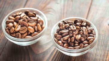 Which is cheaper Robusta or Arabica?