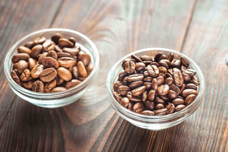 Which is cheaper Robusta or Arabica?