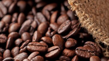 Which is the best coffee beans?