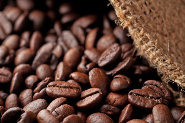 Which is the best coffee beans?
