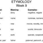 Which is the best example of etymology?