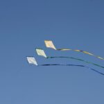 Which kite is best for beginner?