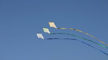 Which kite is best for beginner?