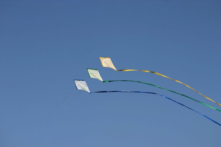 Which kite is best for beginner?