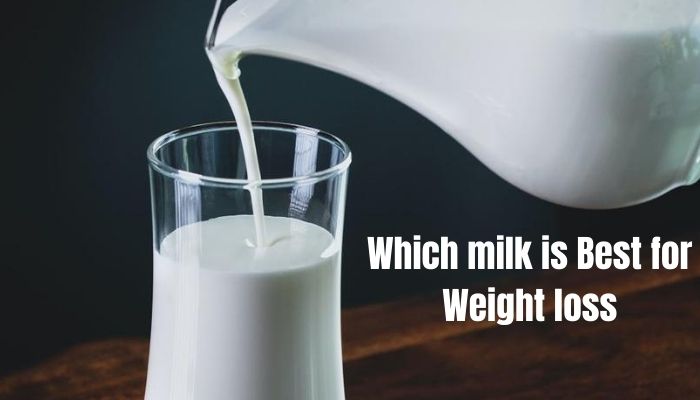 Which milk is best for weight loss?