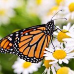 Who makes Monarch flour?