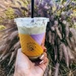 Who originally owned Starbucks?