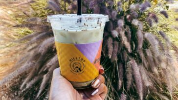 Who originally owned Starbucks?