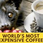 Who sells the most coffee?