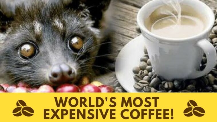 Who sells the most coffee?