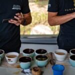 Why are coffee roasters so expensive?