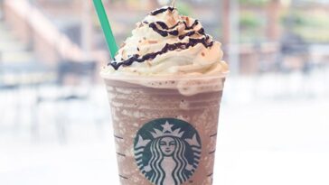 Why can Starbucks find mocha Light Frappuccino?