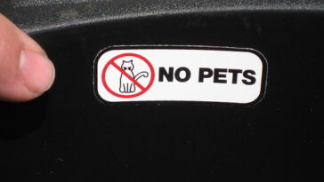 Why does Scooter's put stickers on their cups?