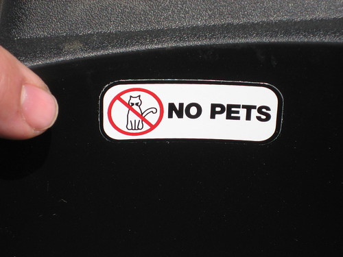 Why does Scooter's put stickers on their cups?