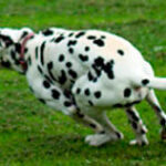 Why does my kite spin in circles?