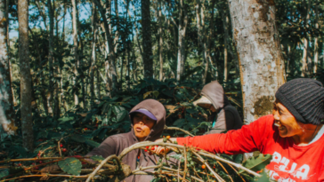 Why is coffee price increasing?