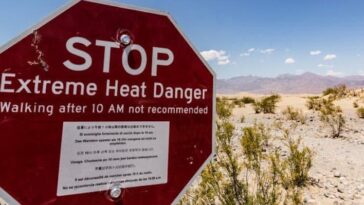 Why is it called Venti?