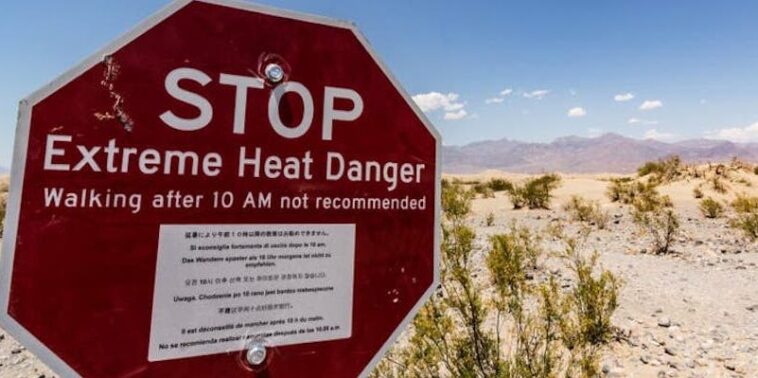 Why is it called Venti?