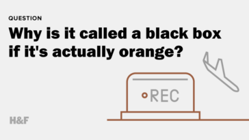 Why is it called a Trenta?