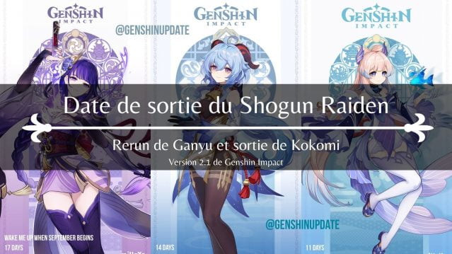 Will Raiden Shogun get a rerun?