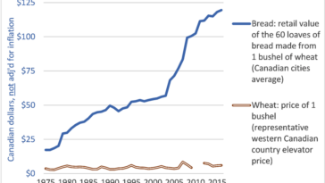 Will food prices rise 2021?