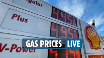 Will grocery prices go down in 2022?