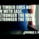 Will we meet Venti again?